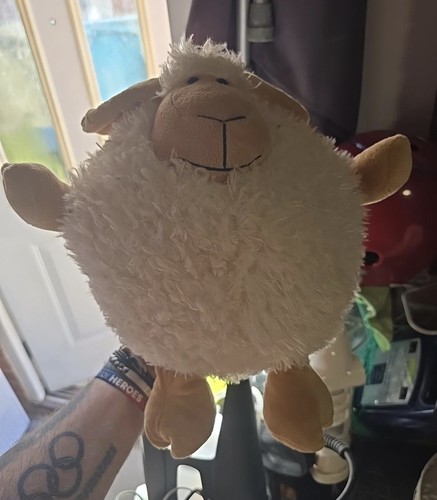 Manav wales sheep lamb soft - sheep,