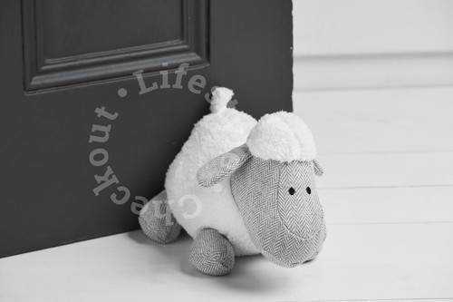 Find home fluffy - fluffy, grey