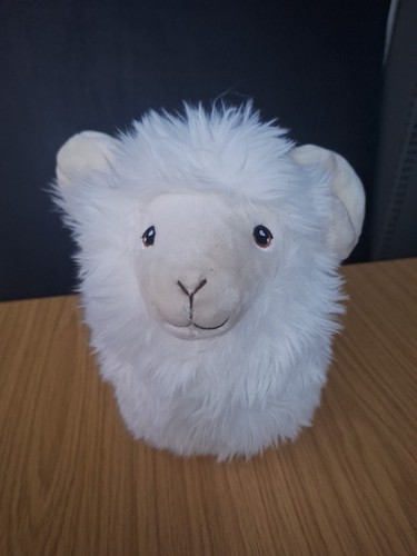 Fluffy little ram - he's,