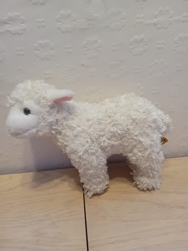Living nature lamb - nature, sheep
