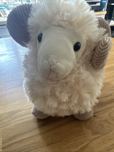 New zealand fluffy ram - zealand,