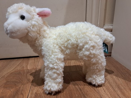 Living nature lamb sheep - living,