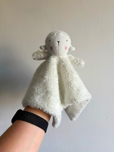 White fluffy sheep - fluffy,