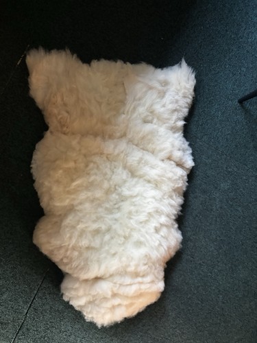 Genuine white sheep fleece fur - white,