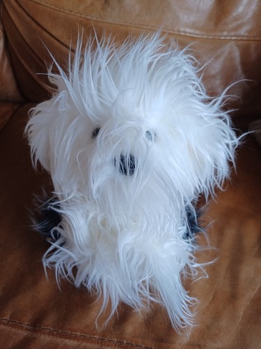 Genuine dulux sheep dog with - genuine, dog,